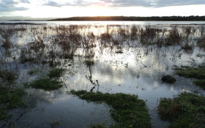 El Acuaférico para SMA en aprietos
