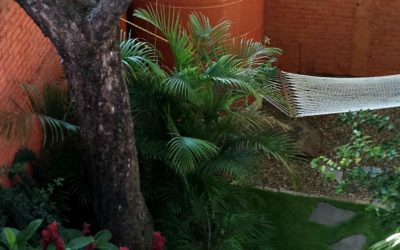 Soluciones al Arsénico y Fluoruro en el Agua Potable/Solutions to Arsenic and Fluoride in Drinking Water