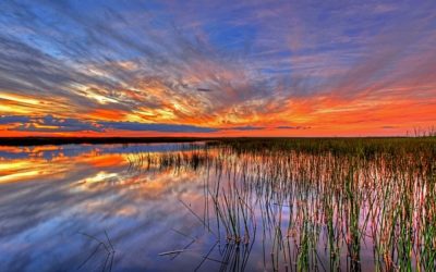 Metas Cumplidas en 2016/Goals Accomplished in 2016