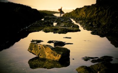Abatimiento del Acuífero Afecta Todo por Igual/Depletion of the Aquifer Affects Everything Alike: Gerardo Arteaga