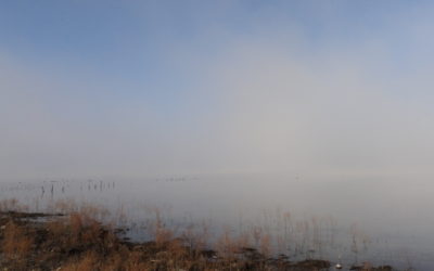 El Factor Ambiental, el Más Fácil de Controlar Dentro de los Riesgos para la Salud/The Environmental Factor, the Easiest to Control Within Health Risks