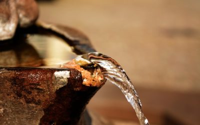 Ya Somos Miles/We Are Thousands