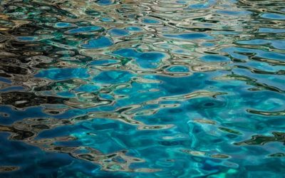 Un Derecho Amenazado/A Threatened Right