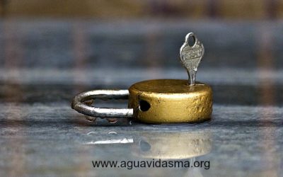 Diálogo Abierto/Open Dialogue with SAPASMA