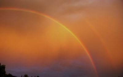 2020…Parteaguas Ambiental para SMA/II parte