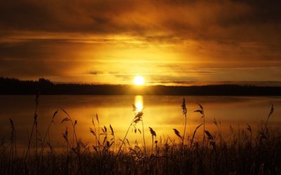 2020…Parteaguas Ambiental para SMA/I parte