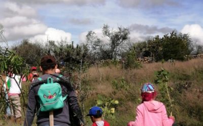 Cuenca Sana-Comunidad Sana/II